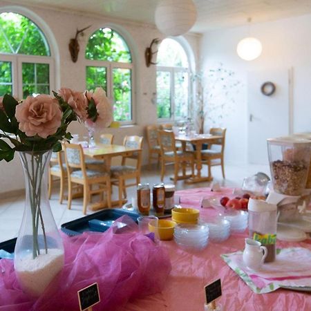 Hotel Dolgesheim מראה חיצוני תמונה